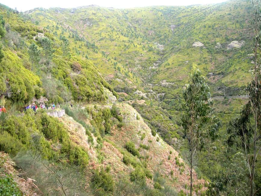 Rabaçal: 25 Fontes & Risco Levada Transfer Self-guided Hike - Rabaçal Park and the first route choices
