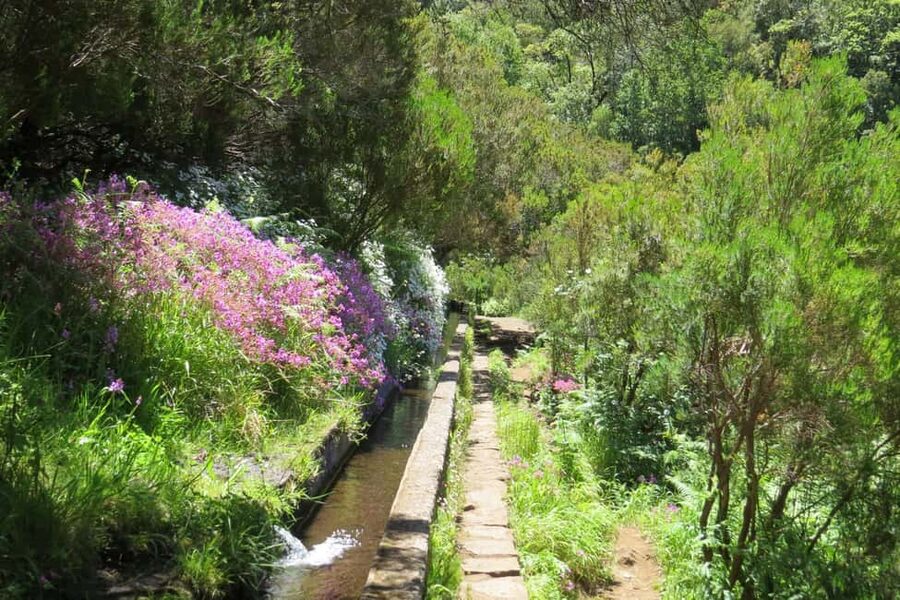 Rabaçal: 25 Fontes & Risco Levada Transfer Self-guided Hike - Walking to the 25 Fontes waterfall