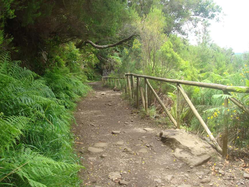 Rabaçal: 25 Fontes & Risco Levada Transfer Self-guided Hike - Why the Risco route deserves equal attention