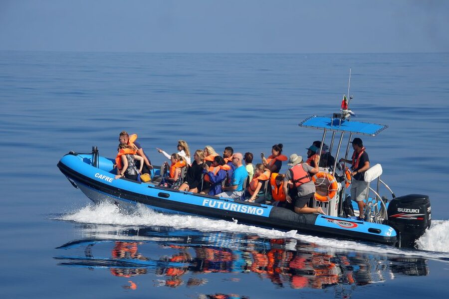 Rabo de Peixe: Sperm Whale Sanctuary Expedition - Is $82 a fair price?