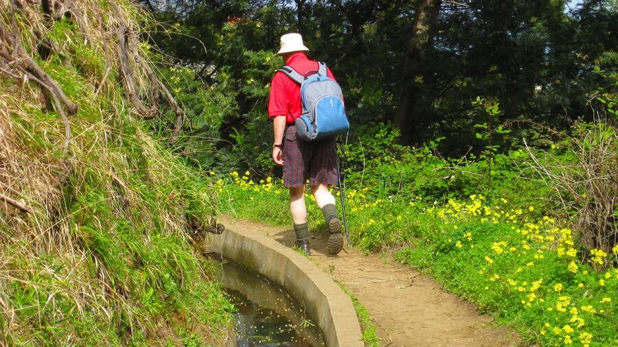 Referta / Castelejo - Levada Walk - Key points at a glance