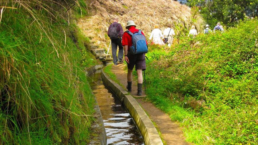 Referta / Castelejo - Levada Walk - Why this levada walk works for an easy day