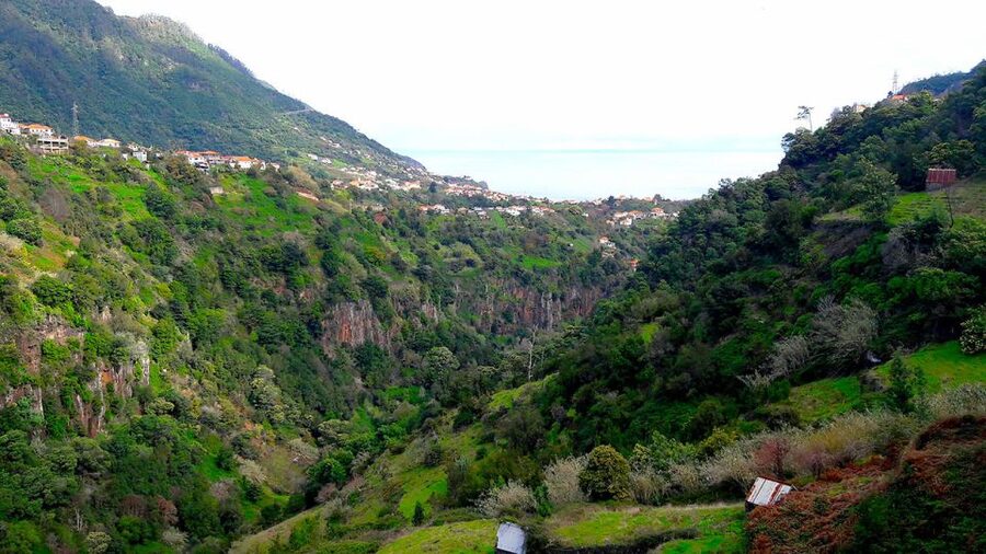 Referta / Castelejo - Levada Walk - Pickup from Funchal, Caniço, and Câmara de Lobos