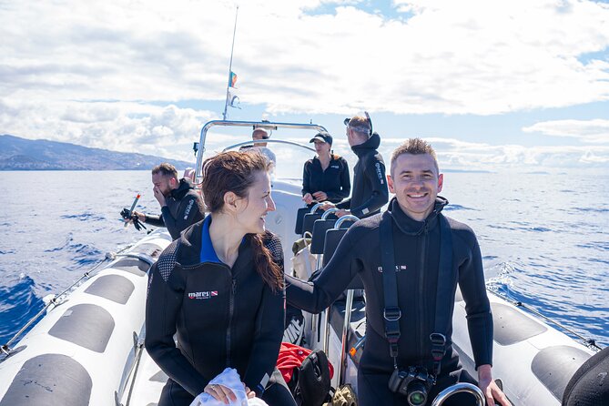 Responsible Whales and/or Dolphins Watching Tour - Who should book this Madeira wildlife tour?