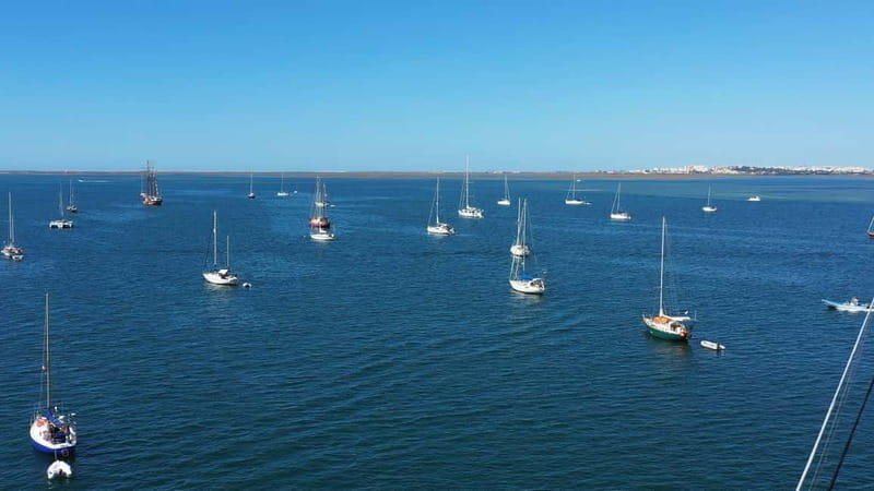 Ria Formosa: Armona and Culatra Islands 3-Hour Boat Tour - Five things to know before you book