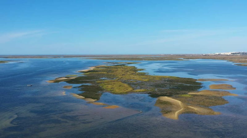 Ria Formosa: Armona and Culatra Islands 3-Hour Boat Tour - Culatra Island: a car-free community