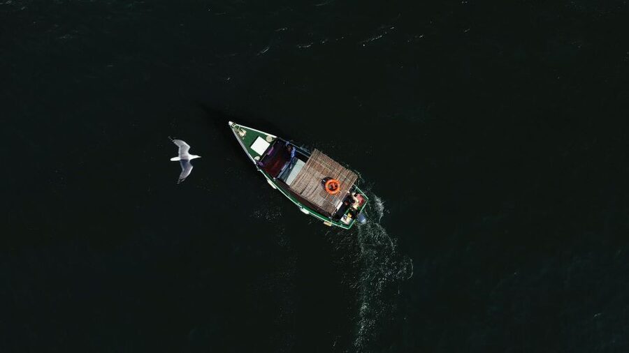 Ria Formosa: Armona and Culatra Islands 3-Hour Boat Tour - The ride to Armona