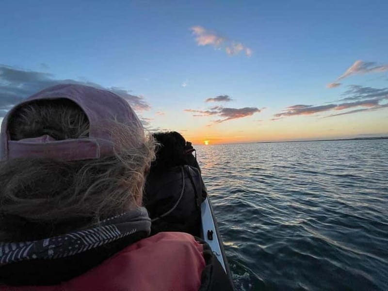Ria Formosa: Armona and Culatra Islands 3-Hour Boat Tour - Armona Island: time to slow down