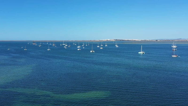 Ria Formosa: Armona and Culatra Islands 3-Hour Boat Tour - Is $34 a good value?