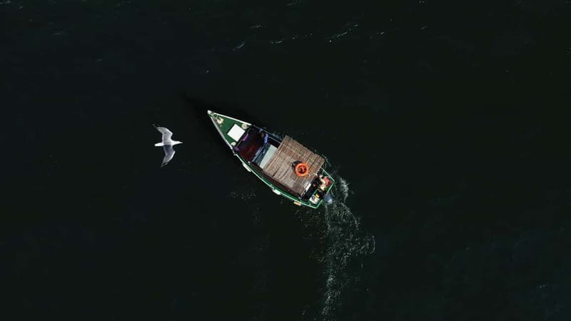Ria Formosa: Armona and Culatra Islands 3-Hour Boat Tour - Shared or private boat?