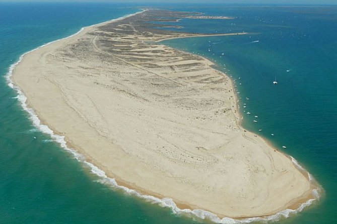 Ria Formosa - Boat trip to the 3 Islands: Armona | Culatra Island | Lighthouse - Wildlife, tides, and the reality of a protected wetland