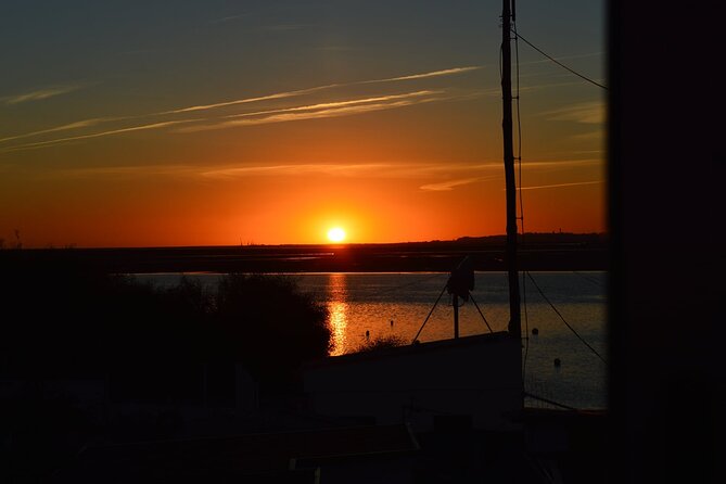 Ria Formosa & Ilhas: Sunset Boat Trip - Culatra Island: a longer look at island scenery