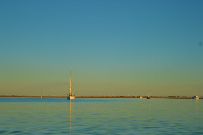 Ria Formosa & Ilhas: Sunset Boat Trip - Who will enjoy this trip most?