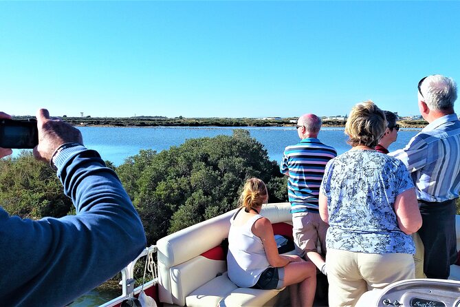 Ria Formosa Natural Park and Islands Boat Cruise from Faro - Practical advice for a smoother trip