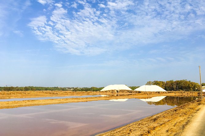 Ria Formosa Natural Park Birdwatching Segway Tour from Faro - The surprising Quinta do Lago detour