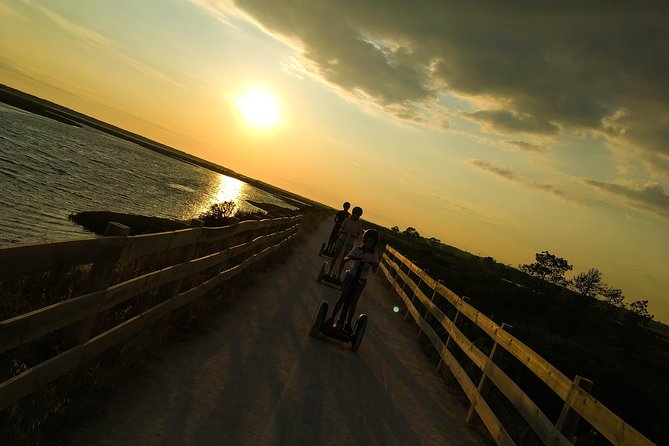 Ria Formosa Natural Park Birdwatching Segway Tour from Faro - What the guides add to the ride