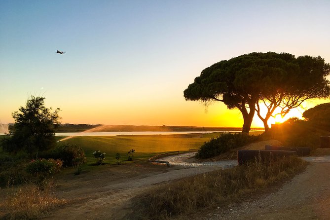 Ria Formosa Natural Park Birdwatching Segway Tour from Faro - Timing, heat, and practical comfort