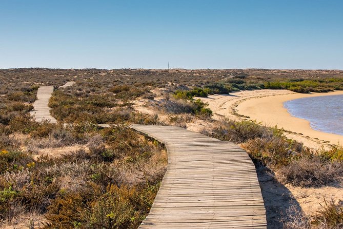 Ria Formosa: Private Boat Rental (from 2 to 8 hours) - Barreta Island and the quieter side of the park