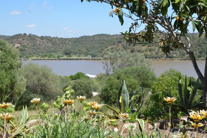 Rio Guadiana River Cruise - A Portuguese lunch with singing and local flavor
