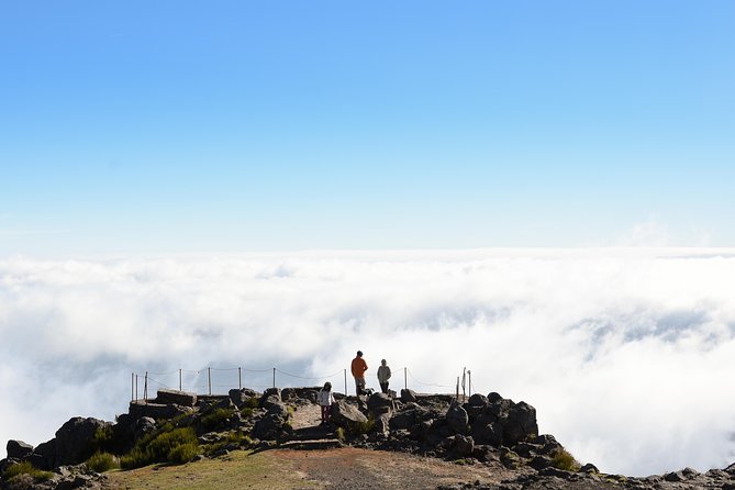 Safari 4x4 Pico Arieiro Santana in Small Group "FlowerEAST" - Starting from Funchal or Caniço at 9:00 am