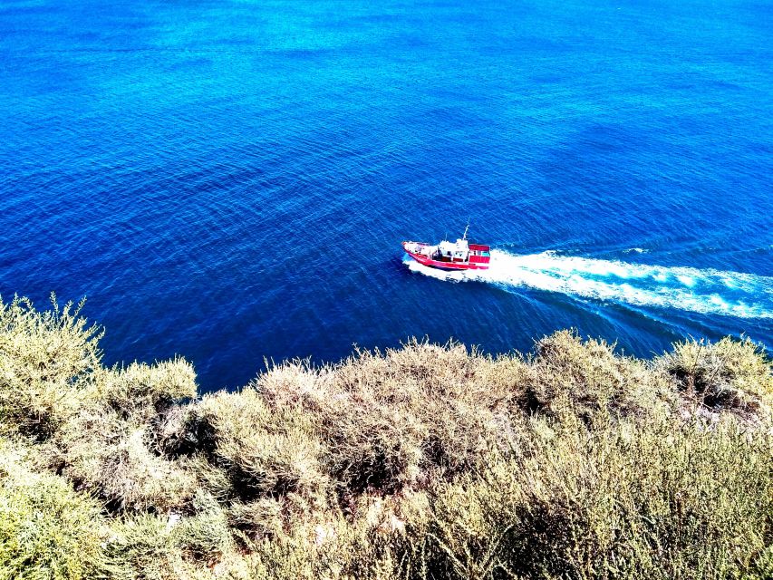 Sagres & Cape St. Vincent Half-Day Tour from Lagos - Who should book this Sagres tour?