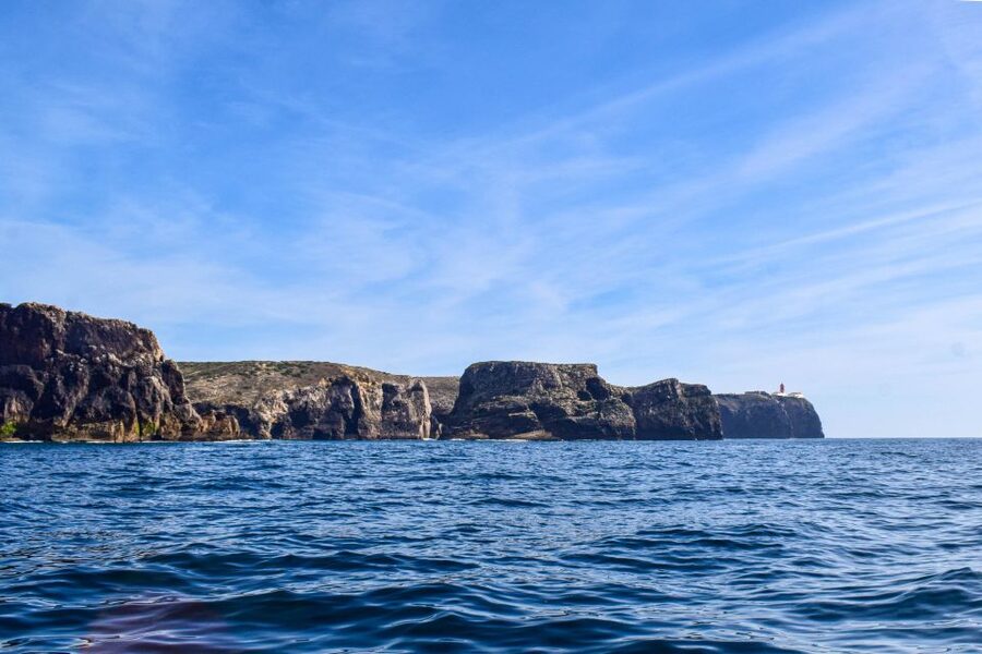 Sagres: Wildlife Tour Dolphins and Caves - What makes this Sagres boat trip special