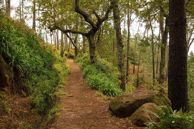 SANTANA Combo Expedition (Jeep & Levada Walk) - Shared Tour - Pico do Arieiro at 1,818 meters
