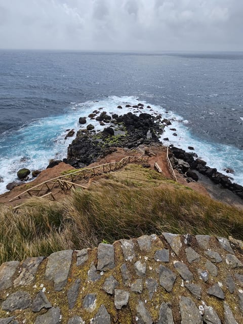 São Jorge: Island, Forest Reserve & Fajãs Guided Tour - Key points to know before you go