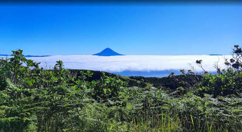 São Jorge: Island, Forest Reserve & Fajãs Guided Tour - Lunch in Calheta requires a little planning