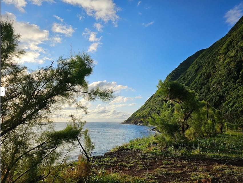 São Jorge: Island, Forest Reserve & Fajãs Guided Tour - Sete Fontes Forest Reserve brings a cool start