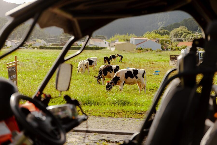 Sao Miguel: Buggy Tour Around Sete Cidades Volcano - Weather, clothing, and comfort