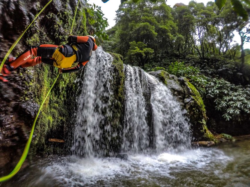 Sao Miguel: Caldeiroes Canyoning Experience - How much value do you get for $82?
