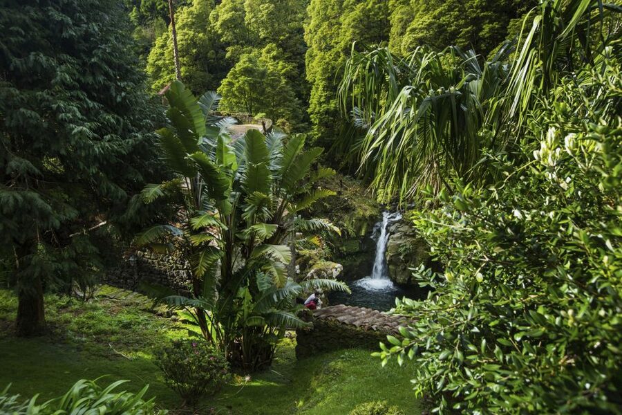 São Miguel East: Full-Day Van Tour with Lunch - The volcanic-soil cozido lunch
