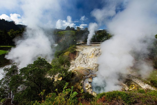 São Miguel East Van Tour with Lunch: Furnas & Nordeste - Choosing Terra Nostra Park and a thermal bath