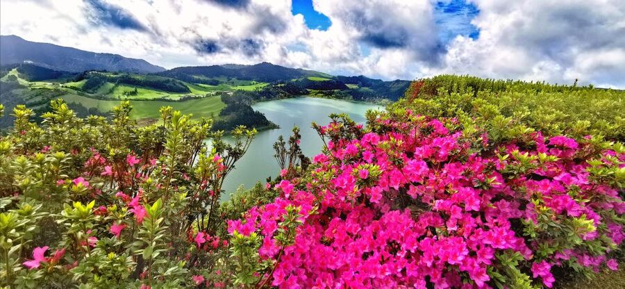 São Miguel: Furnas and Nordeste Full-Day Tour with Lunch - Five things to know before you book