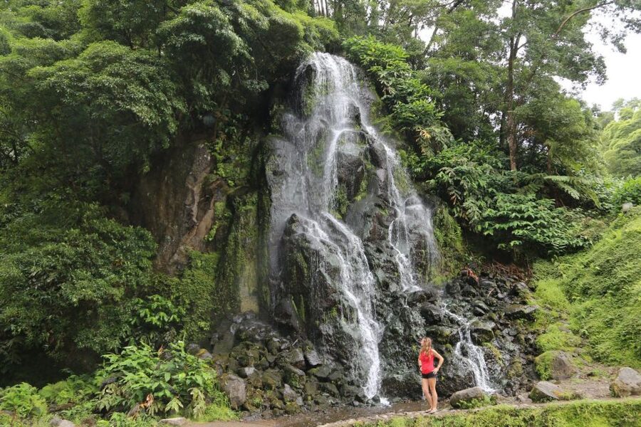 São Miguel: Furnas and Nordeste Full-Day Tour with Lunch - Furnas fumaroles and the hot spring decision