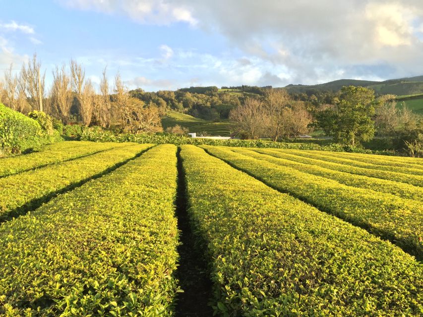 São Miguel Island: Full Day All-in-One Tour - Key points to know before booking
