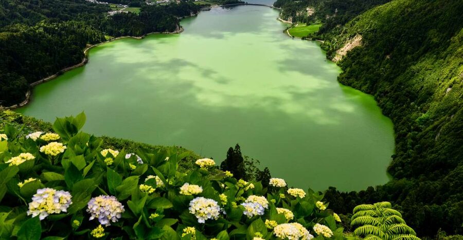 São Miguel Island: Full-Day Sete Cidades Tour - Three short stops around Sete Cidades