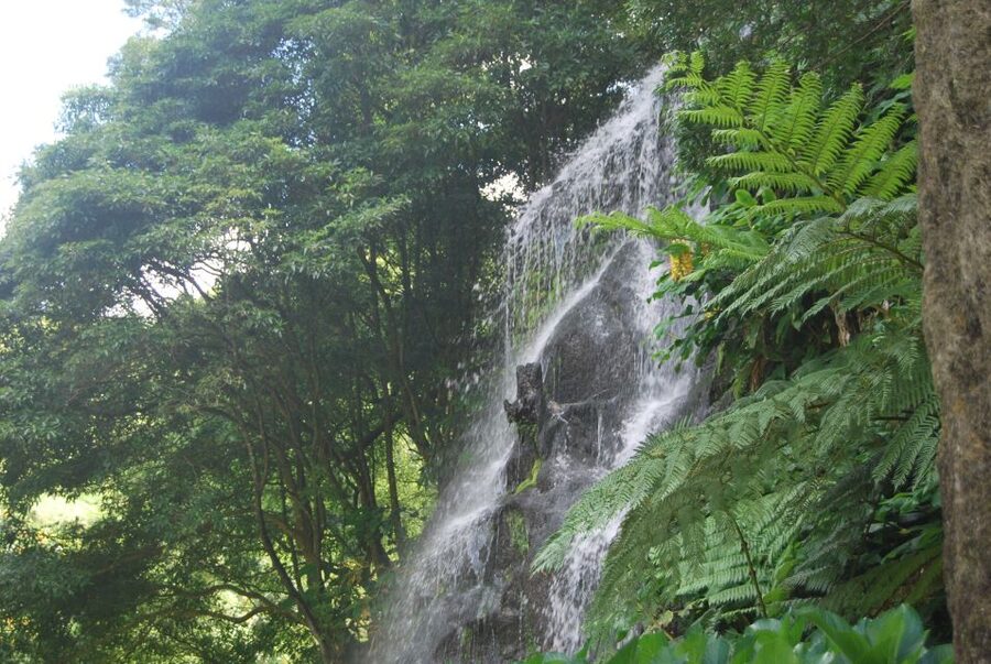 São Miguel: Nordeste, Cliffs & Waterfall Day Trip with Lunch - Quick take: what makes this Nordeste day worthwhile