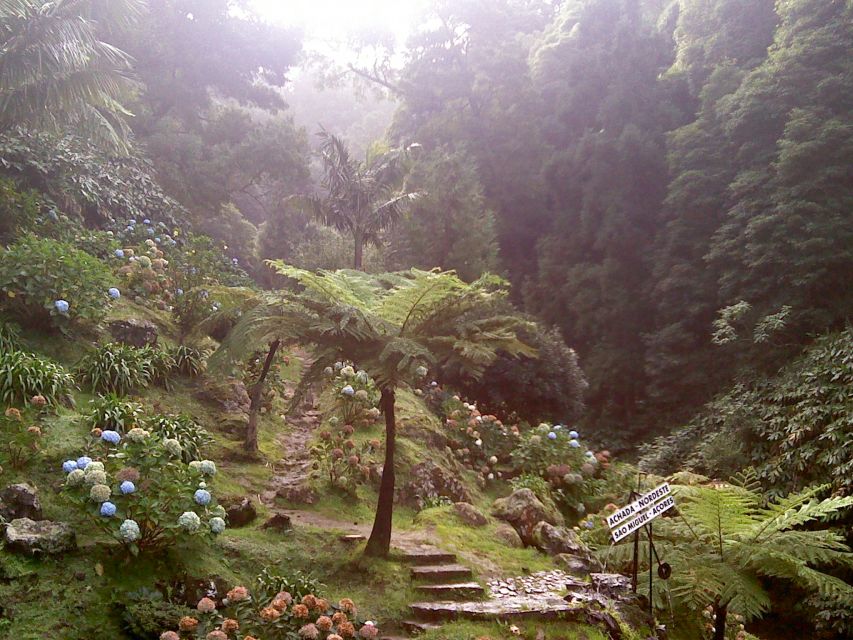 São Miguel: Nordeste, Cliffs & Waterfall Day Trip with Lunch - Salto da Farinha and Cascata do Risco