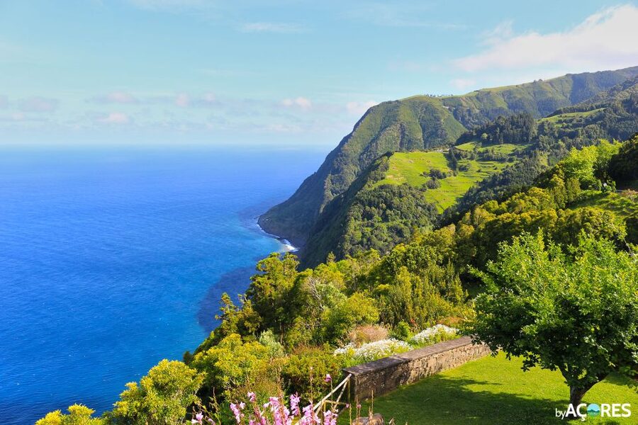 São Miguel: Nordeste, Cliffs & Waterfall Day Trip with Lunch - Is the $88 price fair?