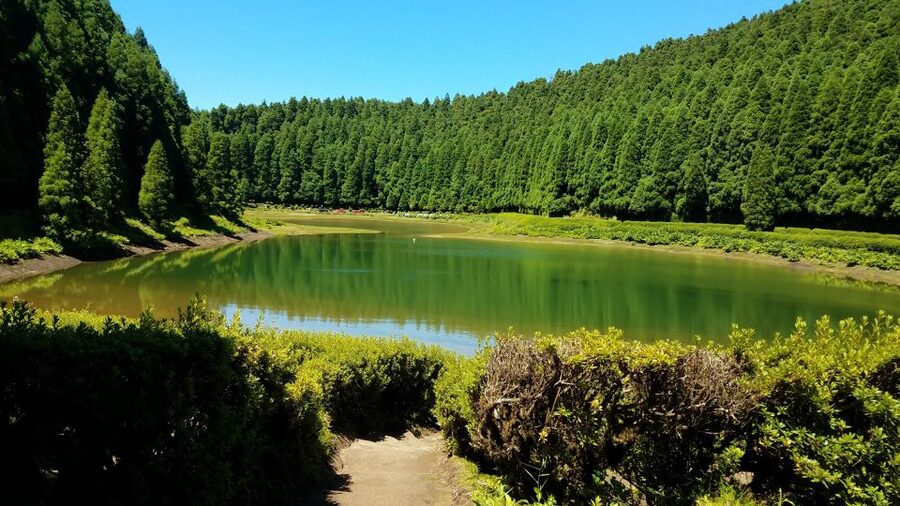 São Miguel: Sete Cidades and Lagoa do Fogo Full-Day Tour - Ribeira Grande and the ride home