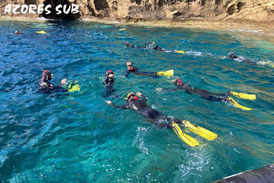Sao Miguel: Snorkeling around Vila Franca do Campo - The best parts of this Vila Franca snorkeling trip