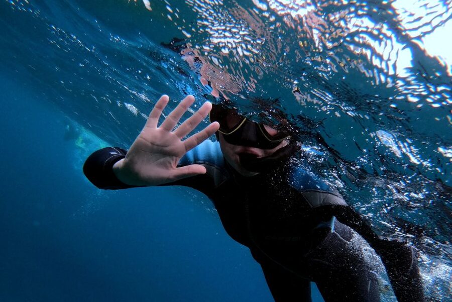 Sao Miguel: Snorkeling around Vila Franca do Campo - Why Vila Franca do Campo is a special place to snorkel