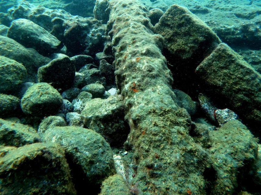 Sao Miguel: Snorkeling around Vila Franca do Campo - The 30-minute briefing makes the water time better
