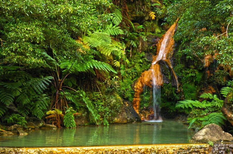 São Miguel West: Sete Cidades and Fogo Tour with Lunch - Pineapples, glasshouses, and a taste of island life