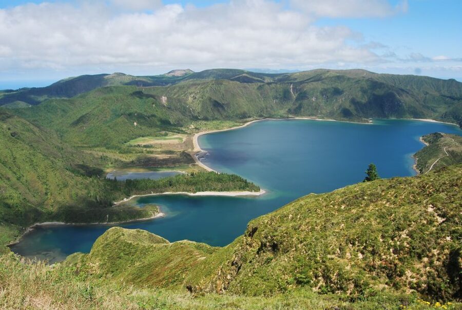 São Miguel: Whales & Volcano Full-Day Tour with Lunch - Price, transport, and overall value