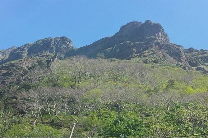 Scenic Route - Nuns Valley Tour - The road to Curral das Freiras is part of the experience