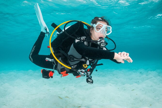 Scuba Diving Experience in Madeira - What the Funchal session actually includes