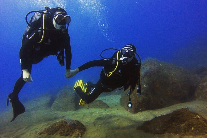 Scuba Diving Experience in Madeira - Is $50.81 good value?